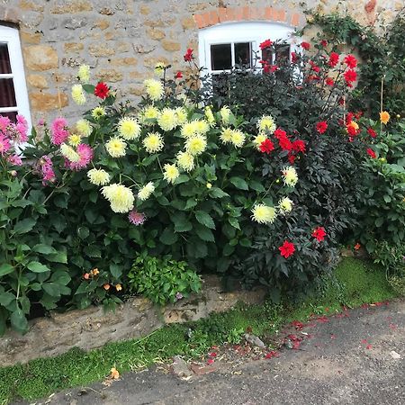 The Cottage Abbotsbury Extérieur photo