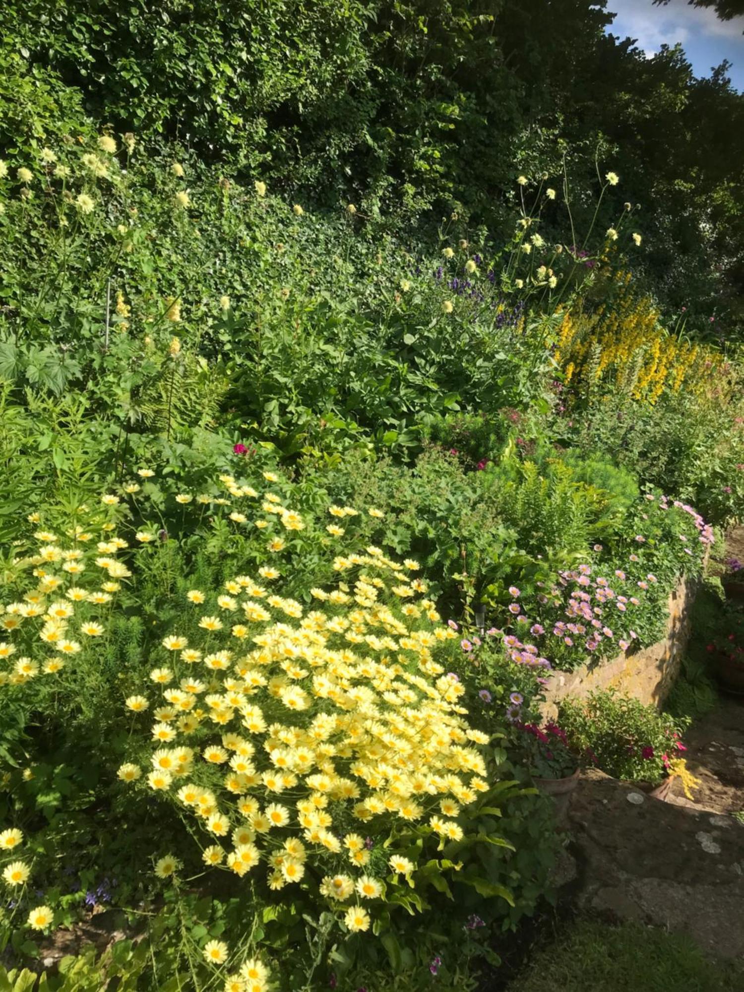 The Cottage Abbotsbury Extérieur photo