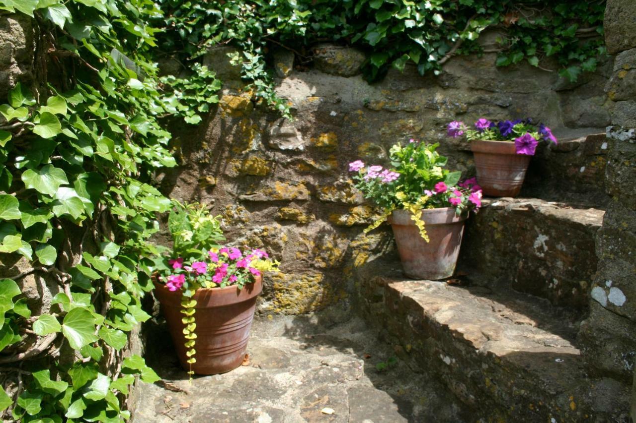 The Cottage Abbotsbury Extérieur photo