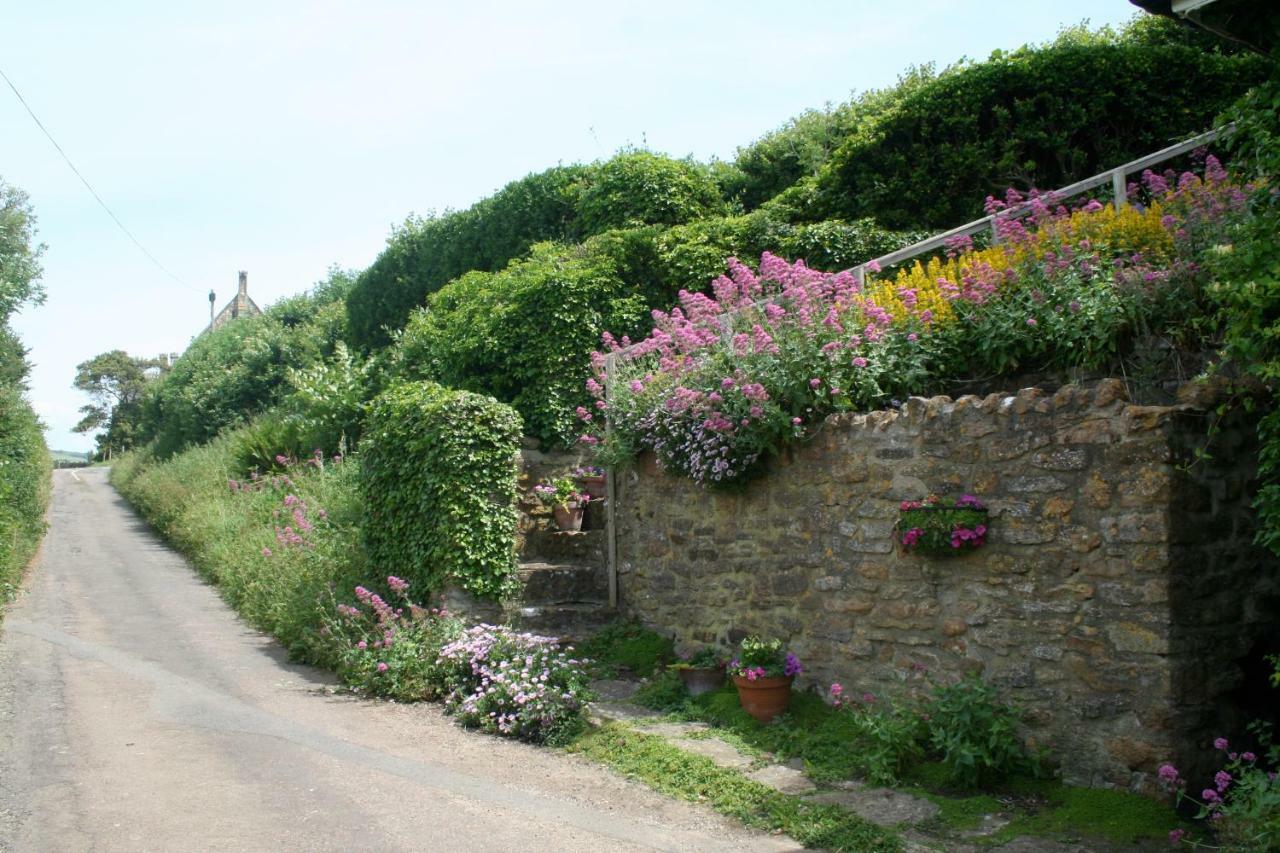 The Cottage Abbotsbury Extérieur photo